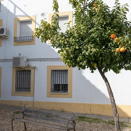 Appartement Nayber Gavia - Nuevo Y Céntrico En Cordoue