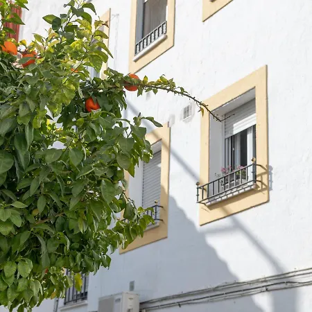 Nayber Gavia - Nuevo Y Céntrico En Appartement