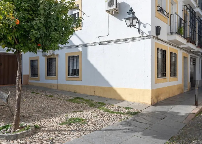 Nayber Gavia - Nuevo Y Centrico En *