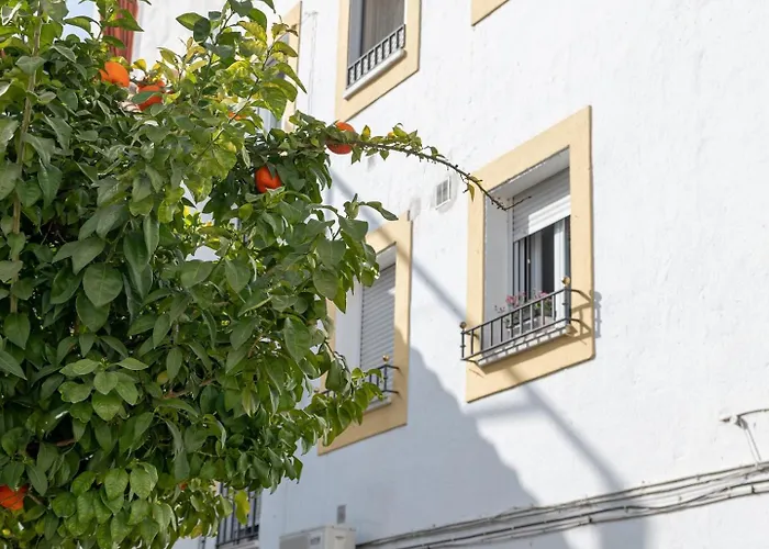 Nayber Gavia - Nuevo Y Centrico En Lejlighed Córdoba