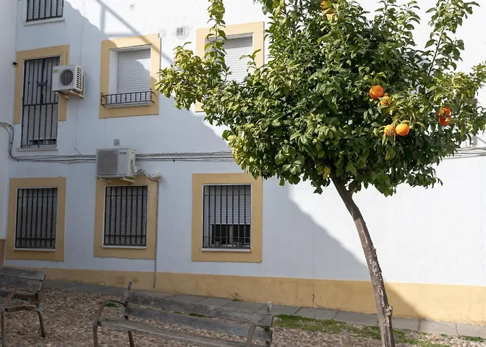 Nayber Gavia - Nuevo Y Centrico En * Córdoba